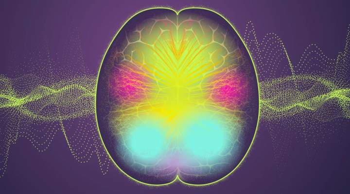 Sonic brainwaves graphic