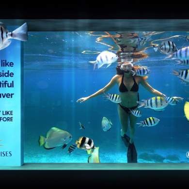 woman swimming in a fish tank