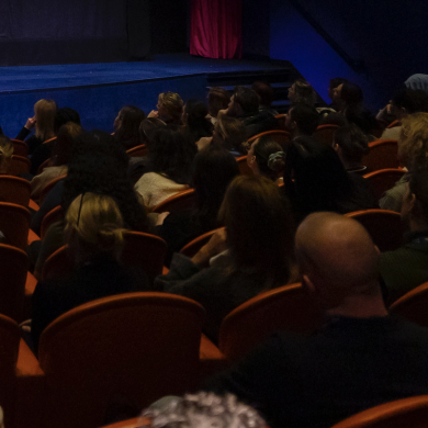 audience watching presentation