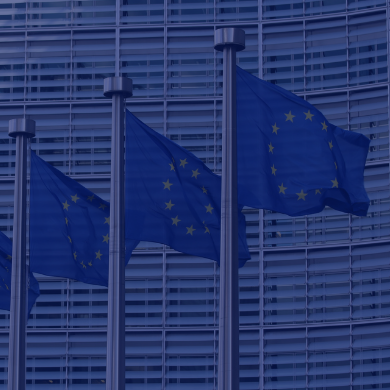 EU parliament